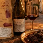 Vin nature arles : bouteille trouble et assiette de gardiane, guide accords de crus