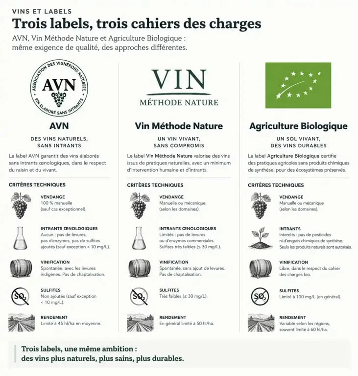 Comparatif des labels de vin nature logo pour identifier les vins authentiques